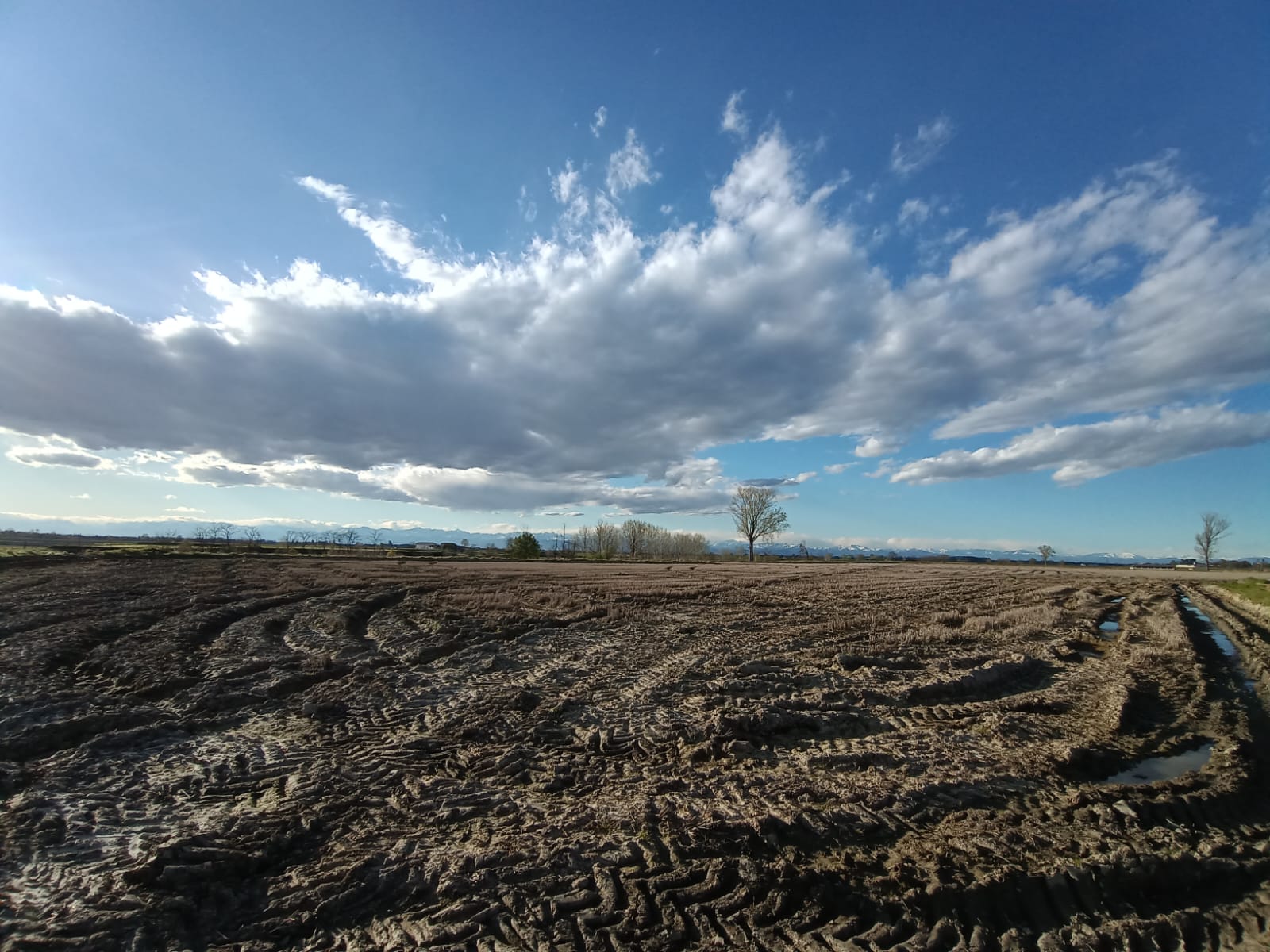 L’ambiente prezioso della Pianura Padana: sfide e opportunità