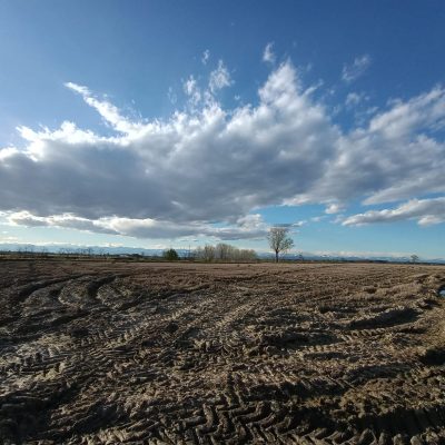 L’ambiente prezioso della Pianura Padana: sfide e opportunità